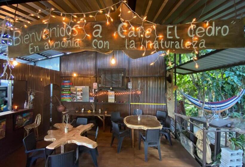 هتل Hostal Café El Cedro