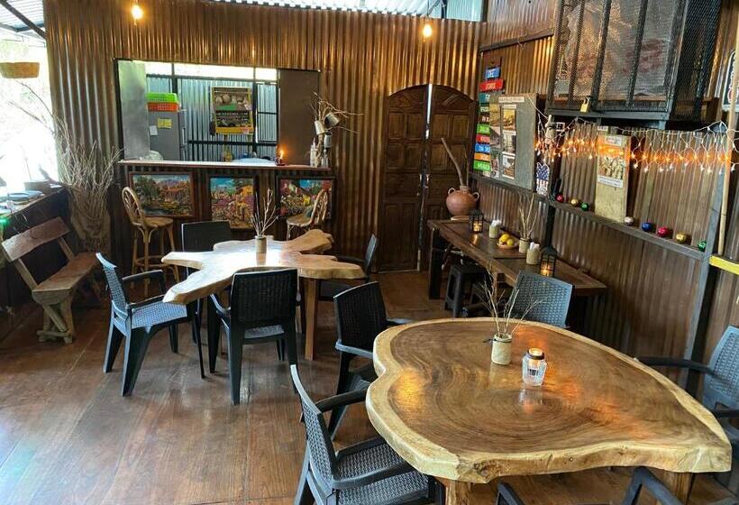 هتل Hostal Café El Cedro