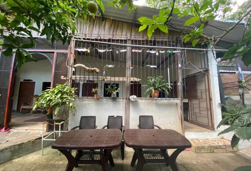 هتل Hostal Café El Cedro