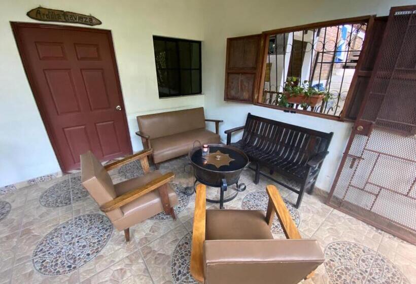 هتل Hostal Café El Cedro