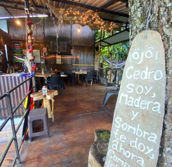 هتل Hostal Café El Cedro