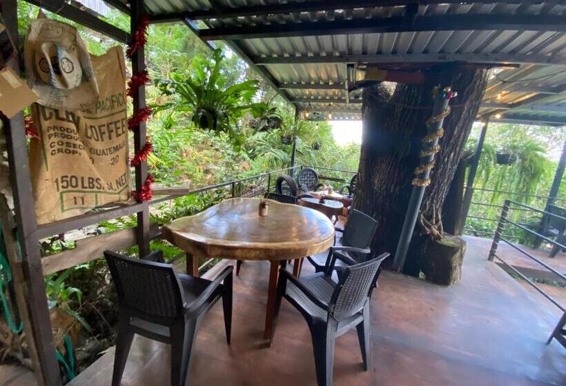 هتل Hostal Café El Cedro