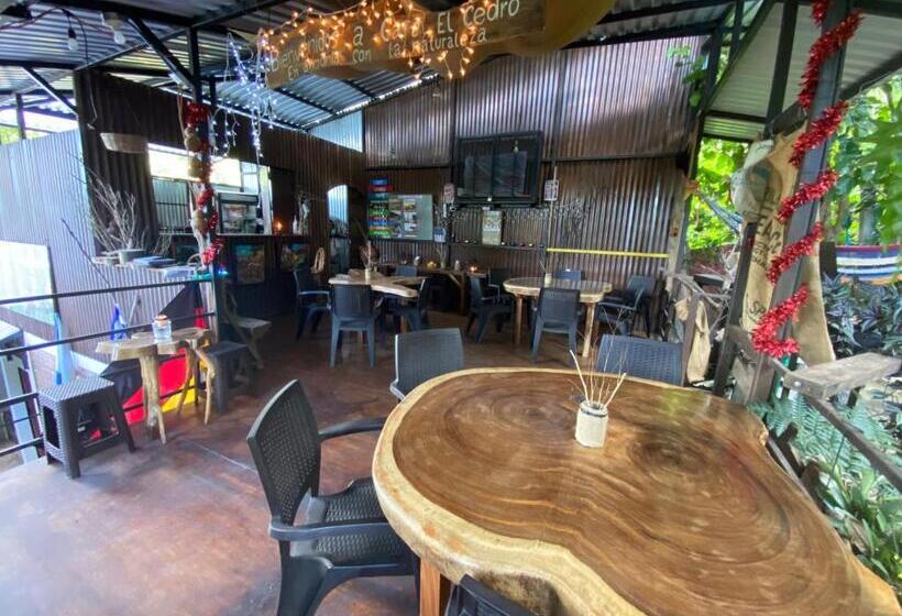 هتل Hostal Café El Cedro