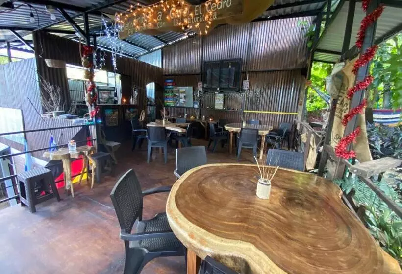هتل Hostal Café El Cedro