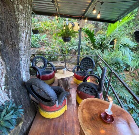 هتل Hostal Café El Cedro