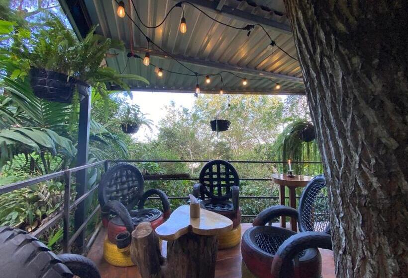 هتل Hostal Café El Cedro