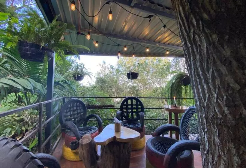 هتل Hostal Café El Cedro