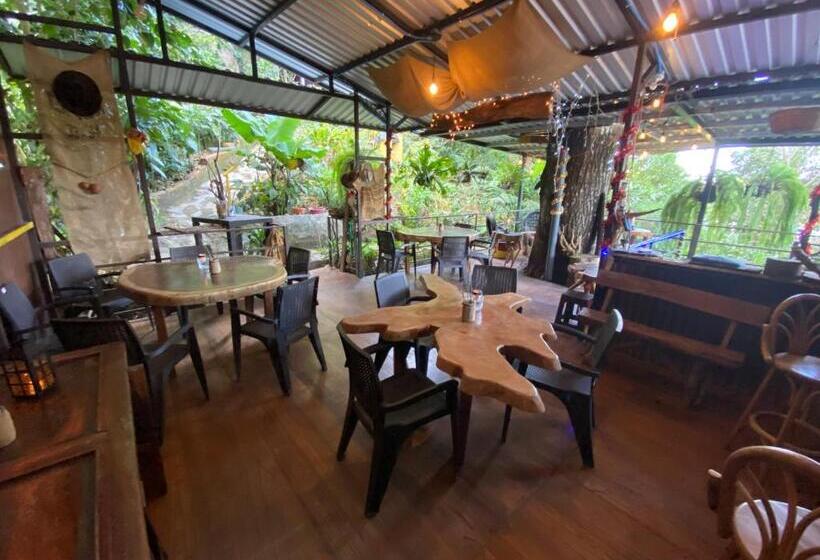 هتل Hostal Café El Cedro