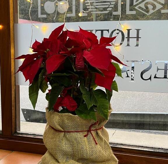 ホテル Restaurante Benidorm 1970