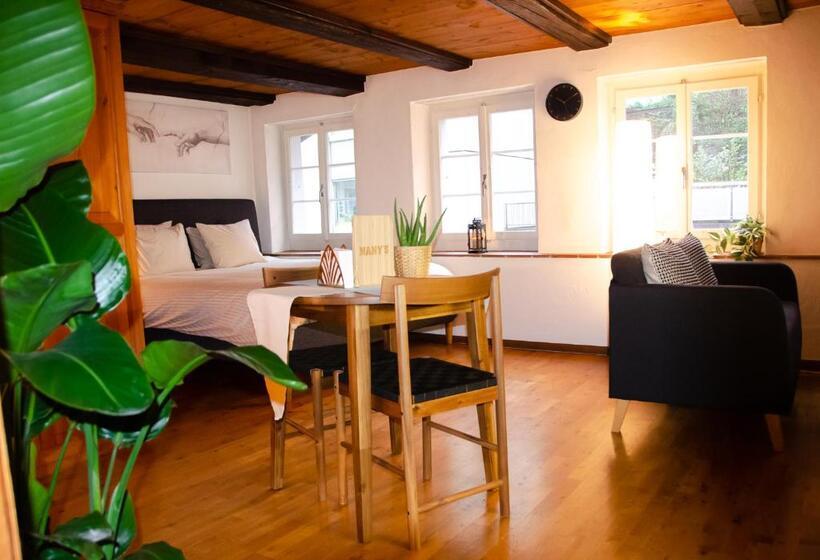 Many S Historical City Central Apartments