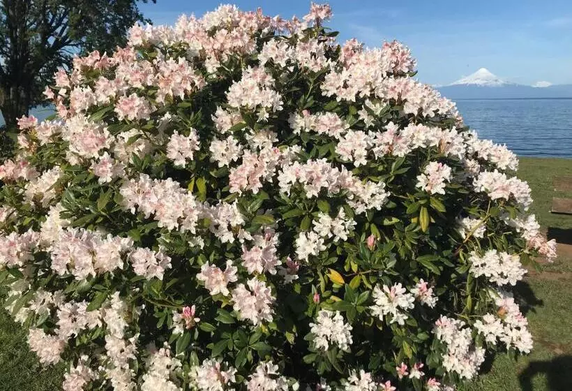 Majatalo Hostel Cala 816