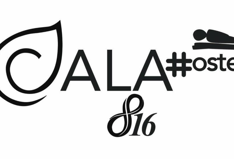 膳宿费 Hostel Cala 816