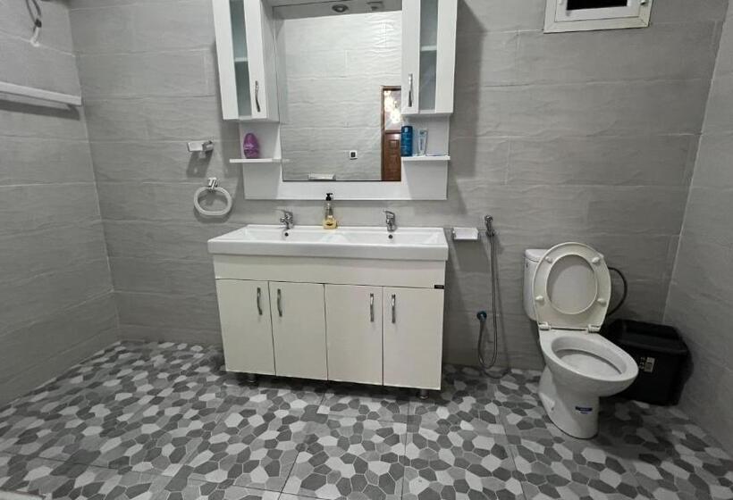 پانسیون Kaizen