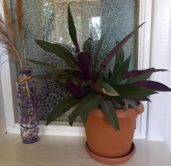 Majatalo Selina Guest House