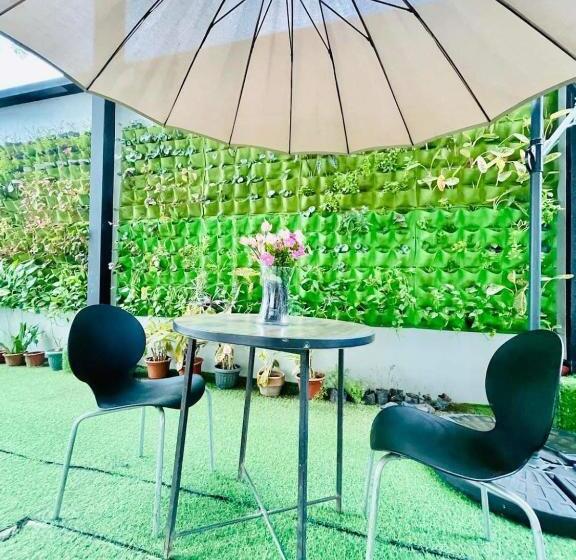 Armond Bed And Breakfast