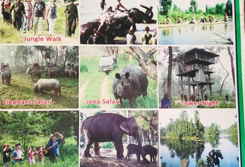 تختخواب و صبحانه Baba Lodge芭芭小屋