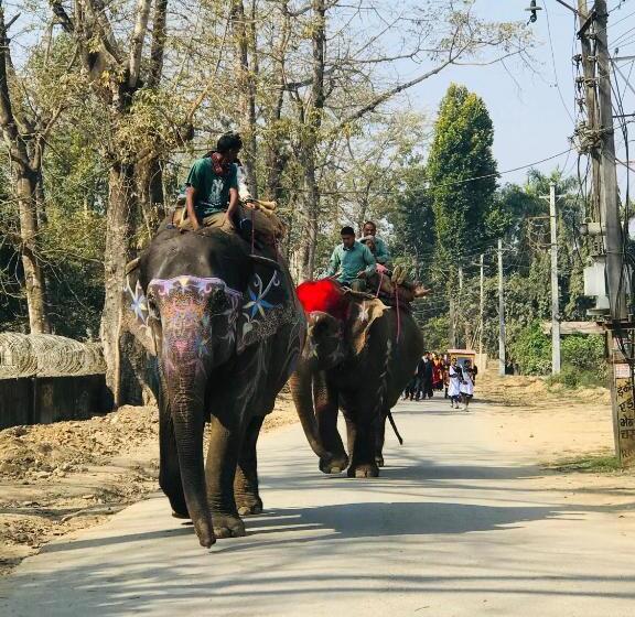 تختخواب و صبحانه Baba Lodge芭芭小屋