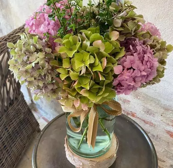 Aamiaismajoitus (B&B) Les Hortensias