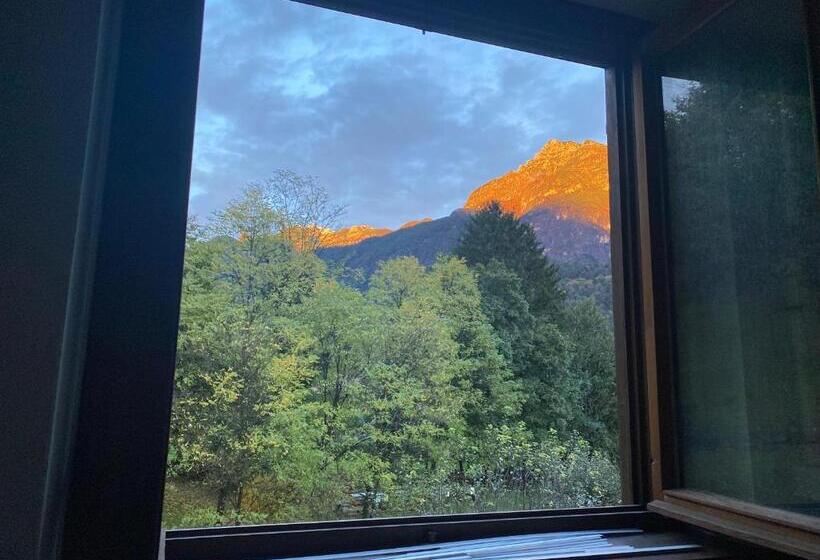 פנסיון Affittacamere Il Pettirosso