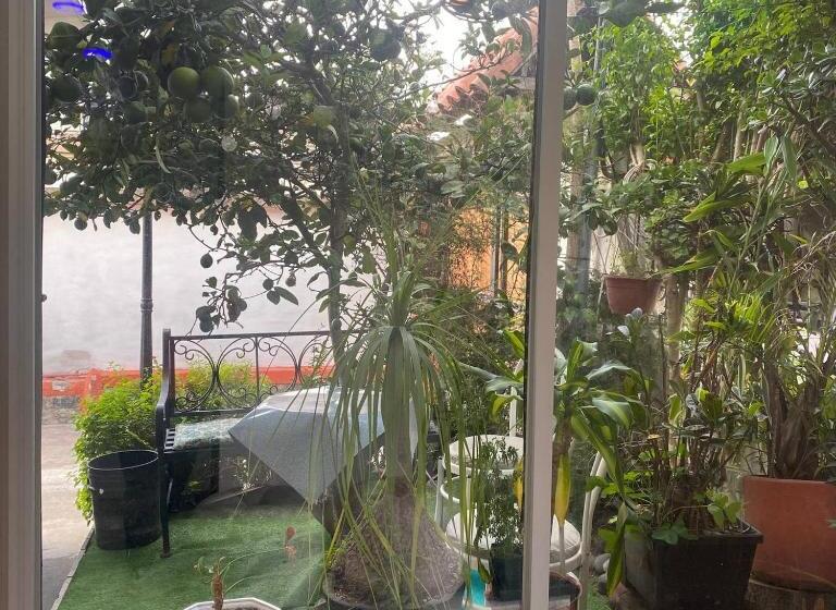 Пансион Calu L Petit Hostel