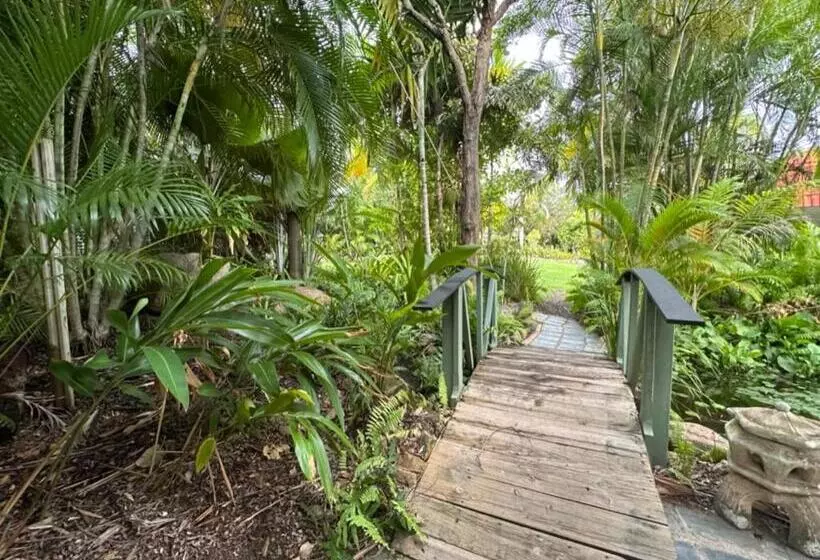 Magnetic Island Resort Studio