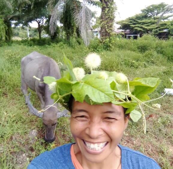 호텔 ปารมีฟาร์มสเตย์