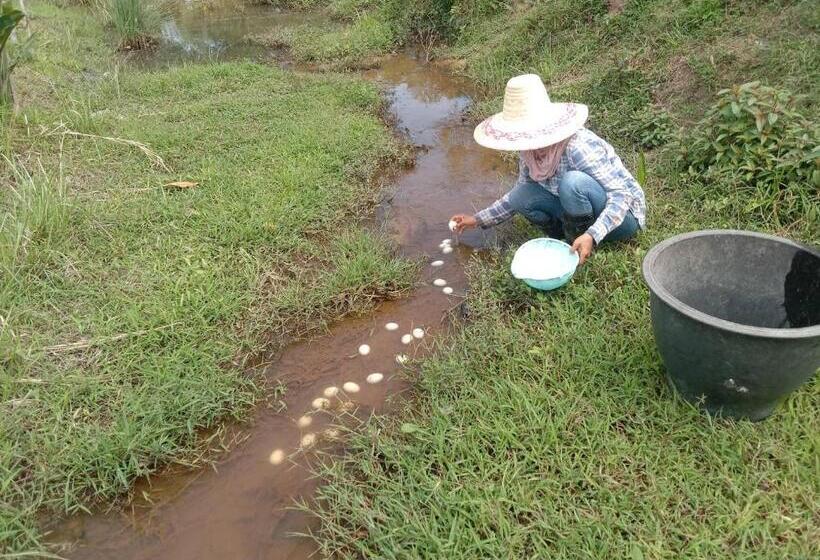 호텔 ปารมีฟาร์มสเตย์