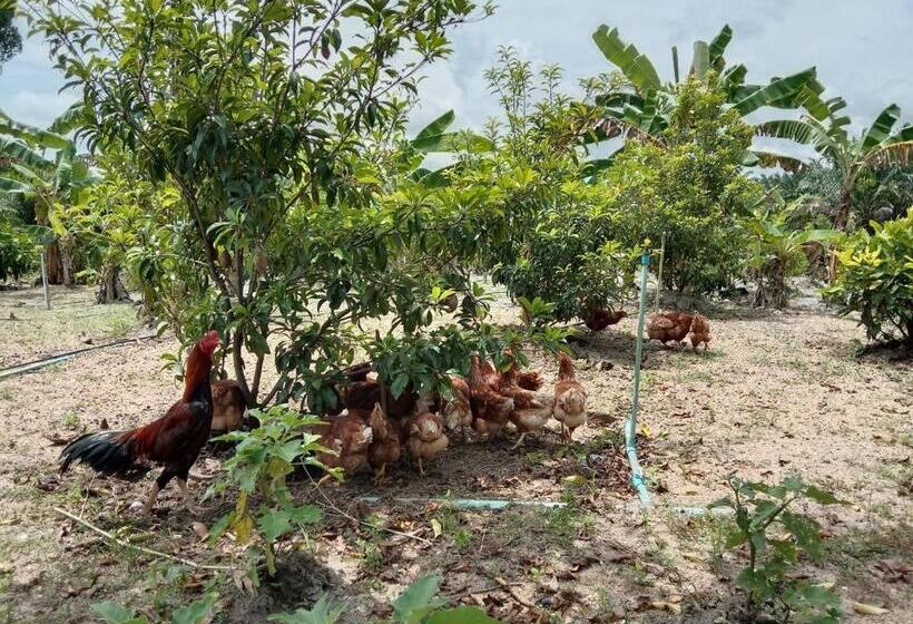 호텔 ปารมีฟาร์มสเตย์