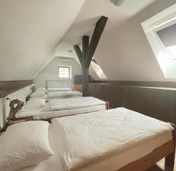 بنسيون Gostišče Barbara