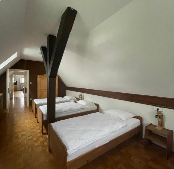 بنسيون Gostišče Barbara