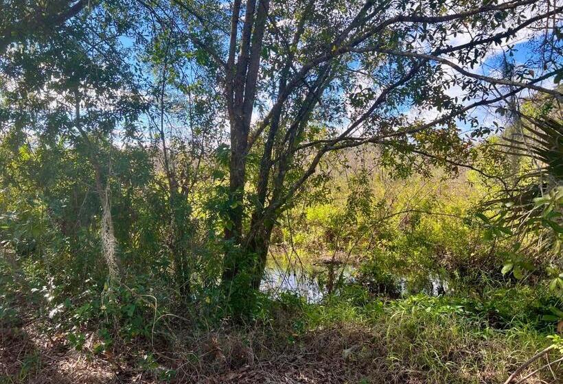 بنسيون The Lake Alfred Citruswood Cabin