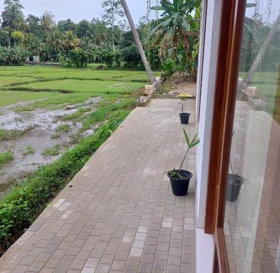 膳宿费 The Villa Green Grand