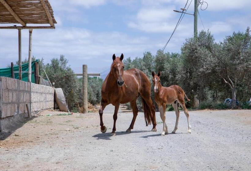 Acari Adventure & Ski Resort