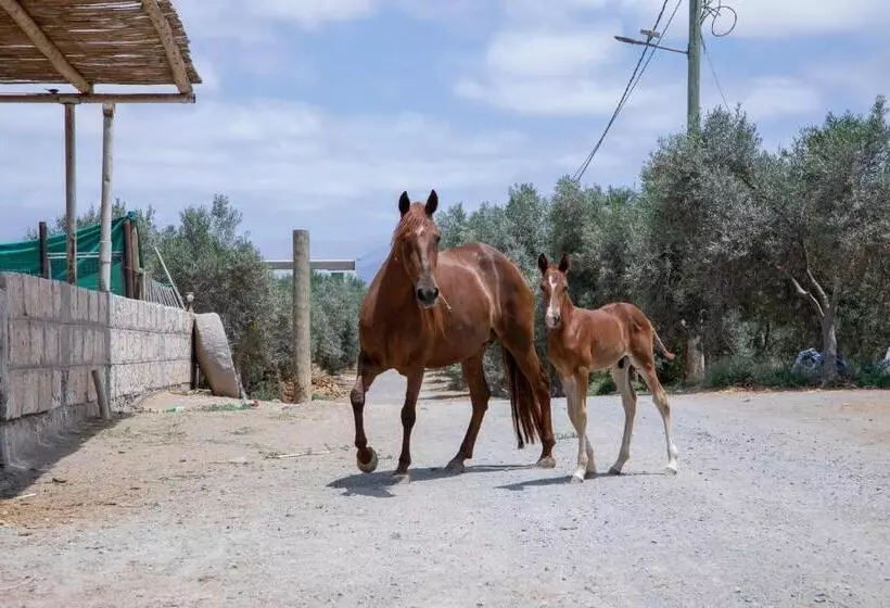 Acari Adventure & Ski Resort