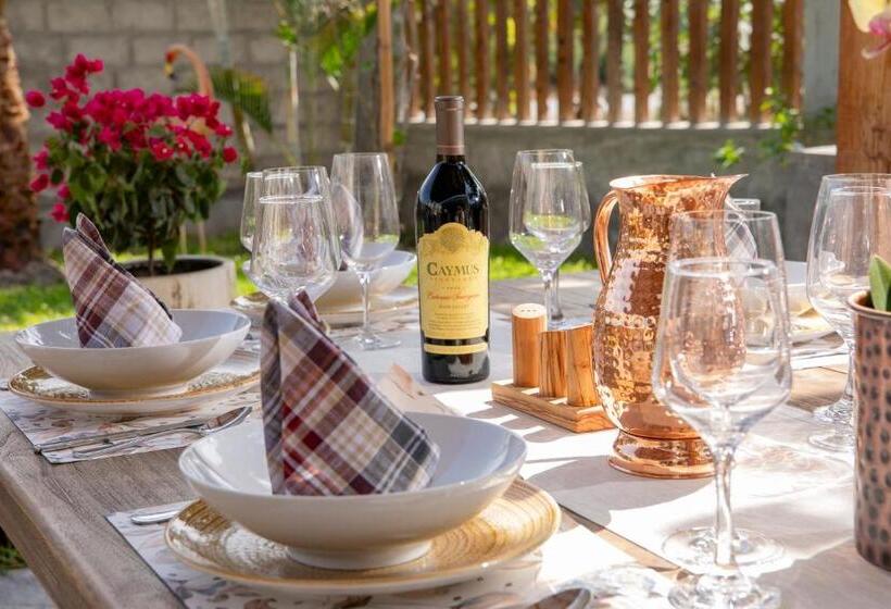 Acari Adventure & Ski Resort