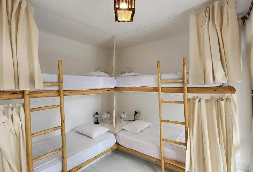 ベッドアンドブレックファースト Kinti Guest House