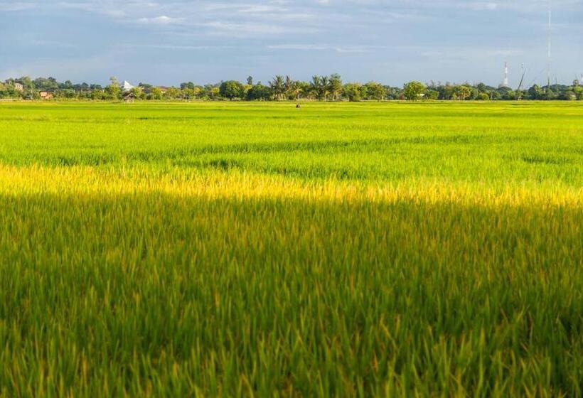 בית מלון כפרי Nakhao Cottage