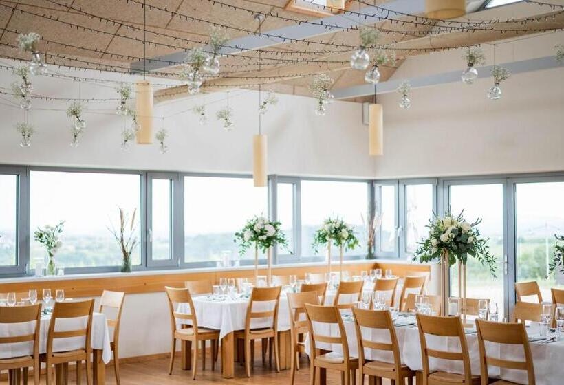 酒店 Weinblick & Weingut Grafinger