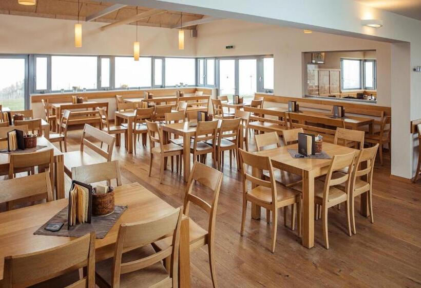 酒店 Weinblick & Weingut Grafinger