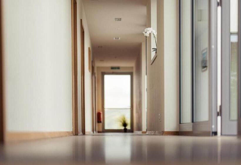 酒店 Weinblick & Weingut Grafinger