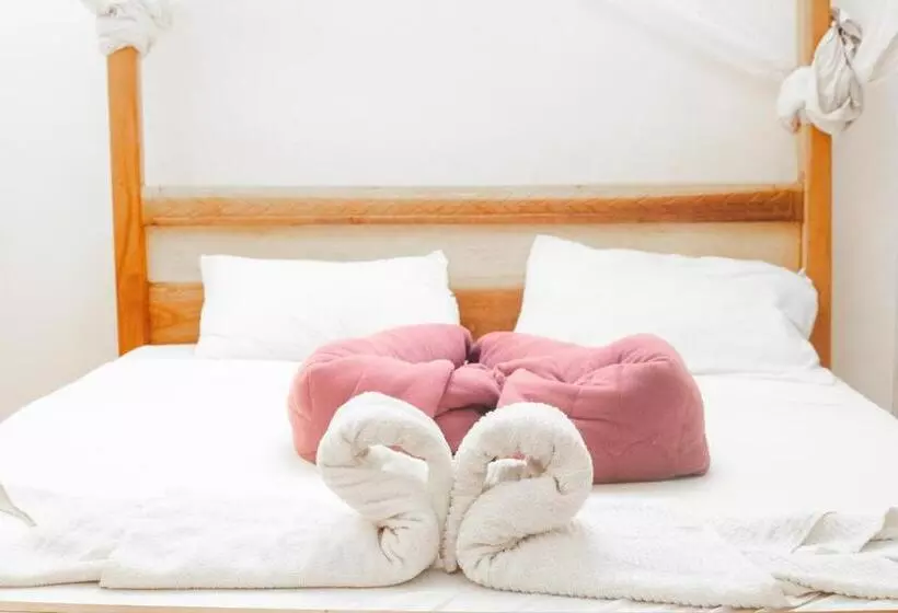 ベッドアンドブレックファースト Kilimanjaro Vines Retreat Hotel Mdawi