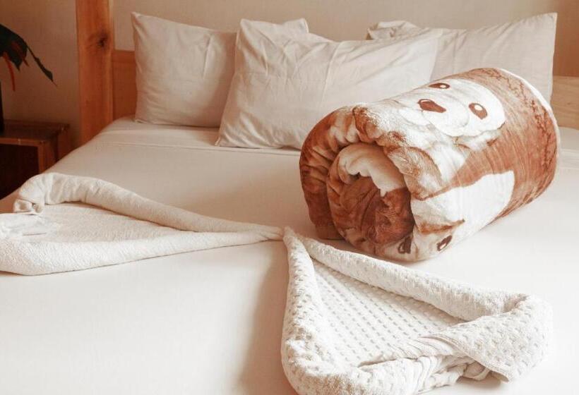 ベッドアンドブレックファースト Kilimanjaro Vines Retreat Hotel Mdawi