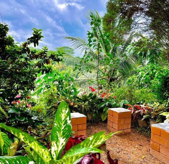 Bed and Breakfast Villa Du Ciel   Galle