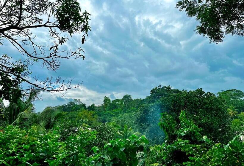 Bed and Breakfast Villa Du Ciel   Galle