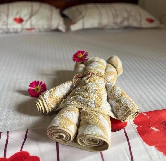 Bed and Breakfast Villa Du Ciel   Galle