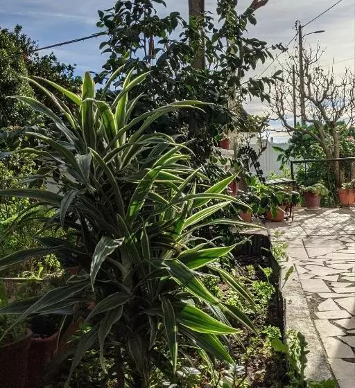 ペンション Alojamento Da Avó Rosa