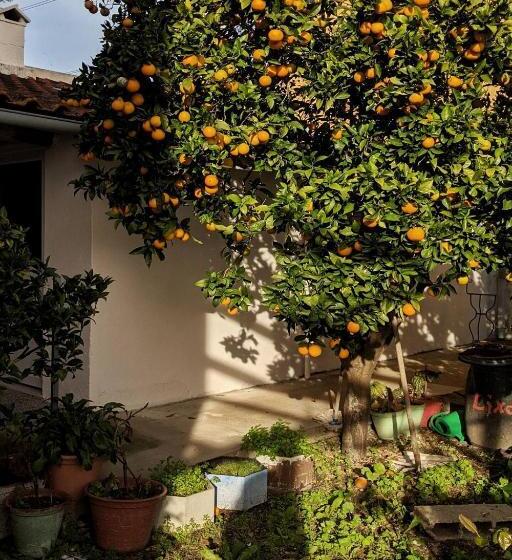 بنسيون Alojamento Da Avó Rosa
