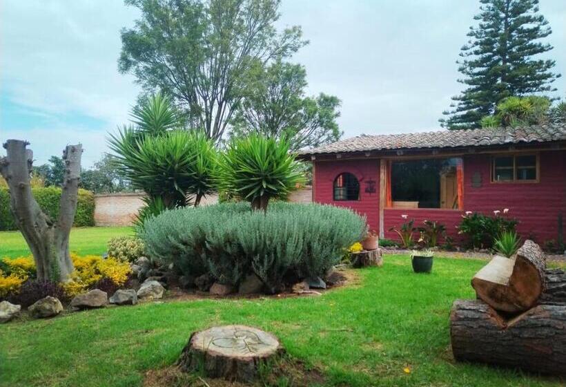 Bed and Breakfast Arie S Cabin