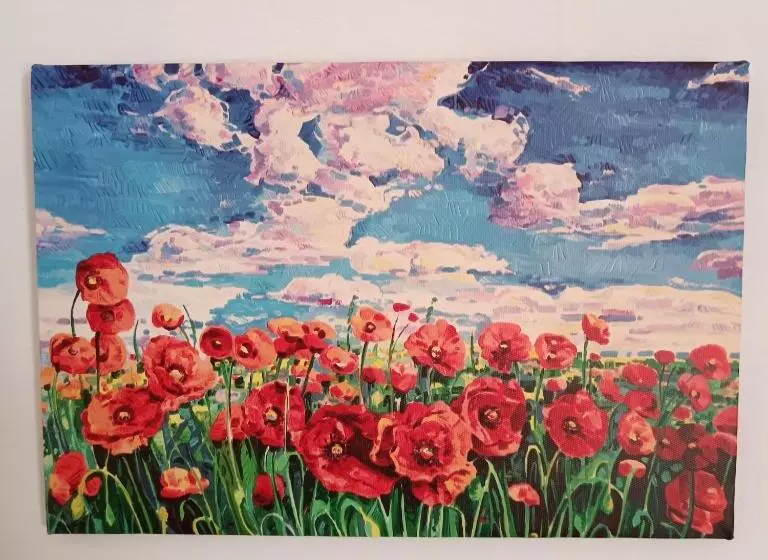 Aamiaismajoitus (B&B) Il Giramondo