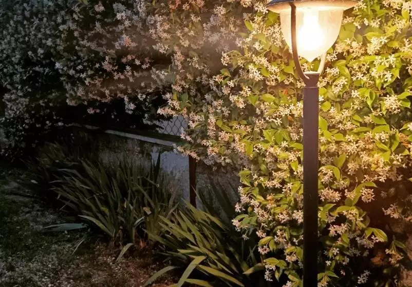 Aamiaismajoitus (B&B) Il Giramondo